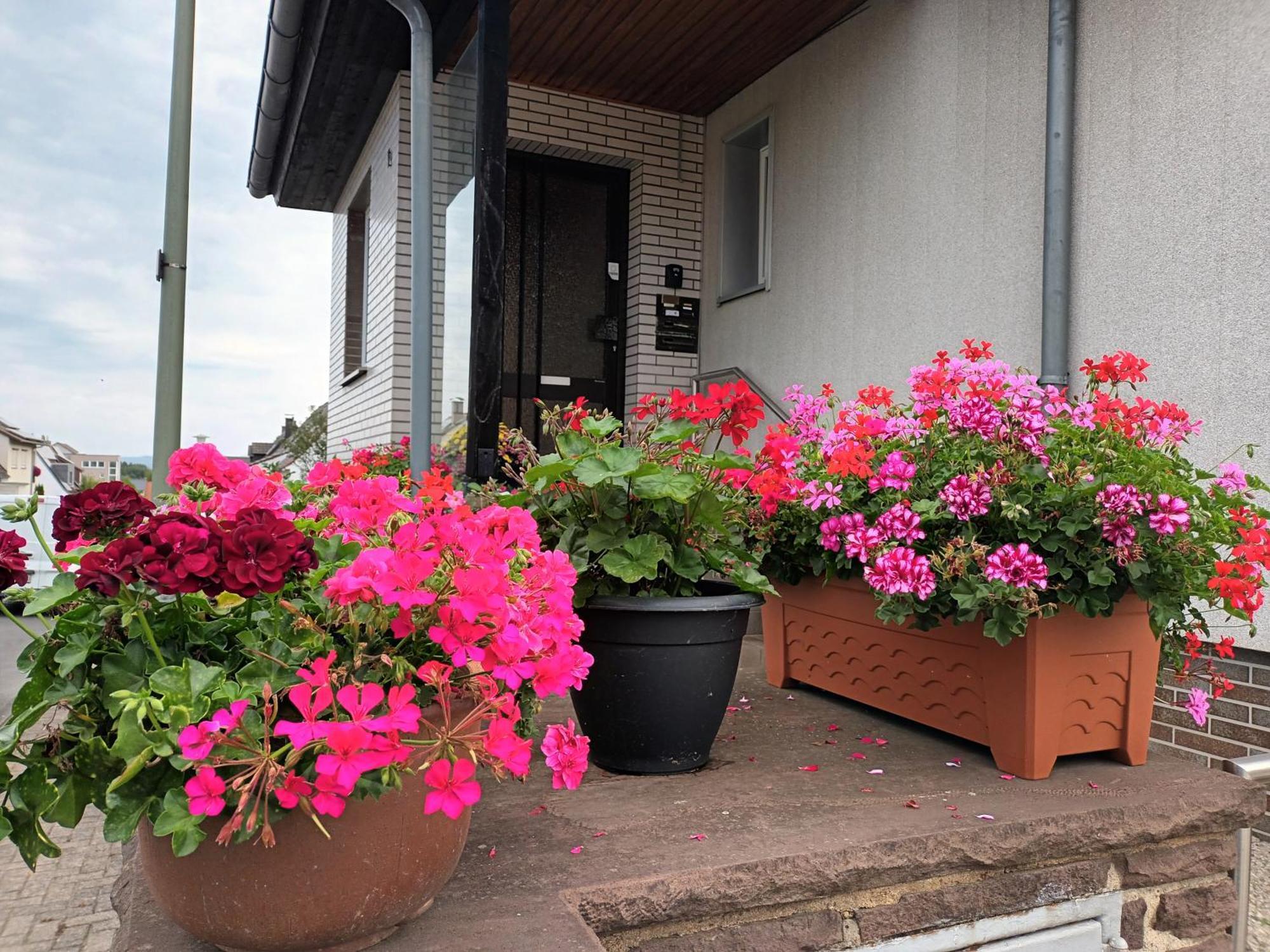 Ferienwohnung Kassel - 2 Exteriör bild